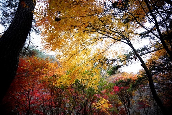 王尔德语录英语