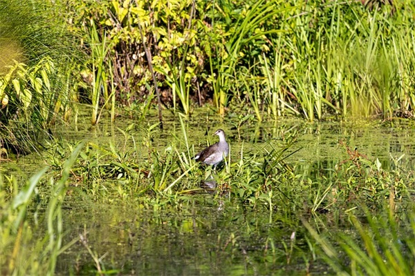 12月你好早安心语大全 2025十二月第一天早安语录