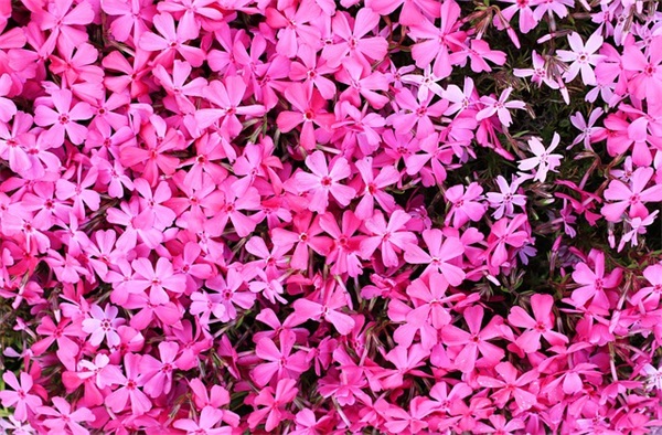 世界名人经典短句语录