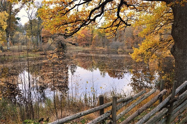 2025年精选唯美励志的语录