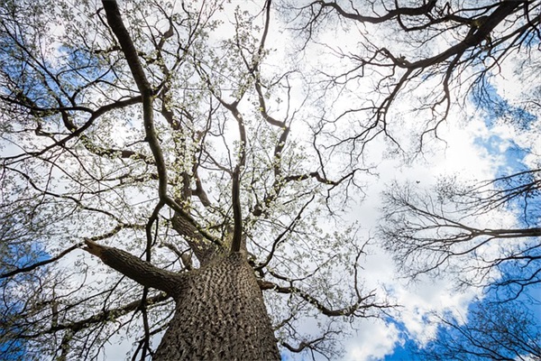 2025年伤感心疼语录104句