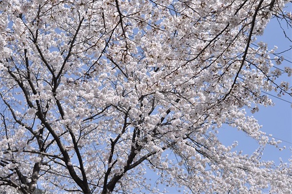 教学经典语录80句