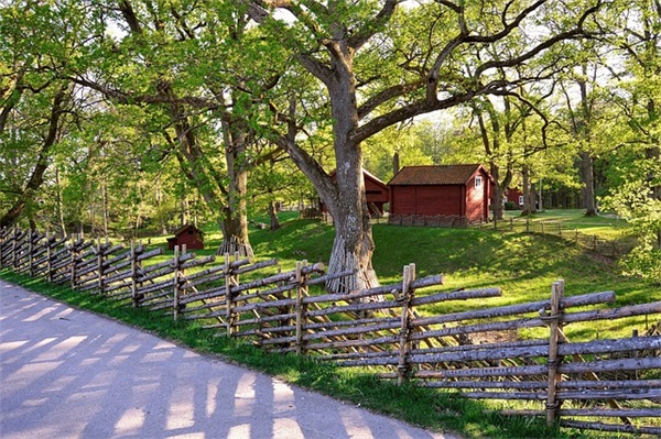 经典语录2025年87句