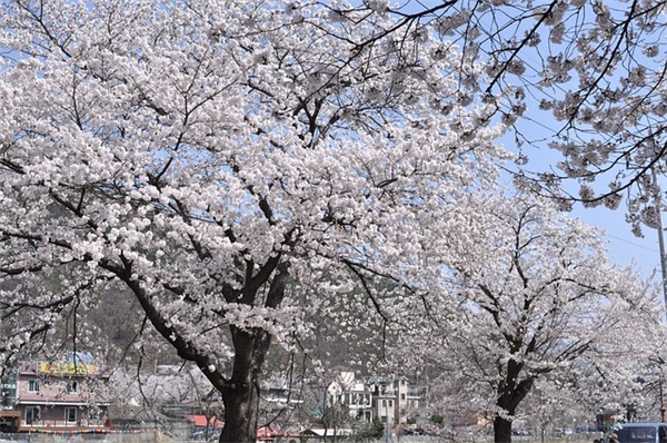 励志语录精选经典短句 励志语录简短正能量