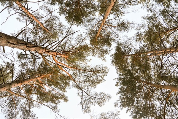 煽情的爱情语录