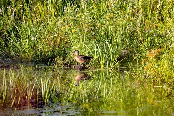爱情誓言经典语录