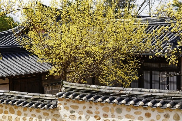 2025最经典的伤感语录 经典伤感语录