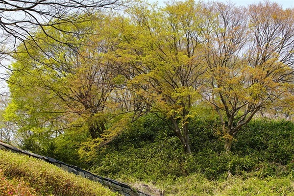 传递正能量语录