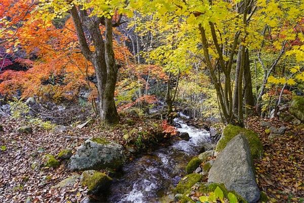 没有亲情味的语录 形容没有亲情味儿的句子