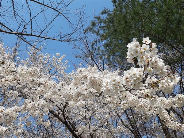早安励志奋斗经典语录