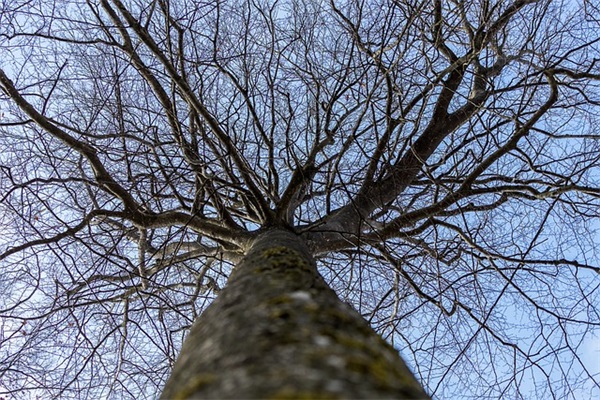 早安励志语录经典短句2025(别人发早上好怎样回复)