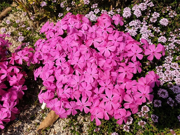 分手后的伤感语录 分手后的伤感语录长篇