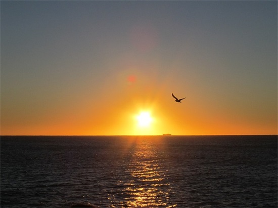 表白情话最暖心短句 打动人心爱情告白语录