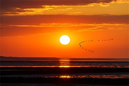 2025高兴语录 快乐语录大全