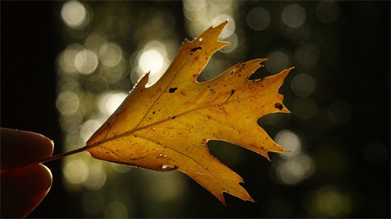 经典高考倒计时文案简短精选(高考倒计时励志语录精选)