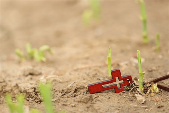 經典悲伤人生语录 张爱玲人生语录