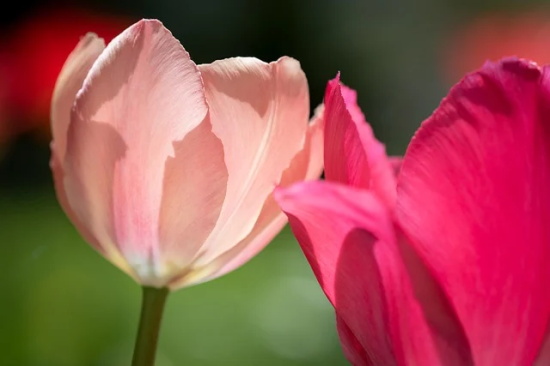 2025年跟过去说再见你好2025经典文案语录