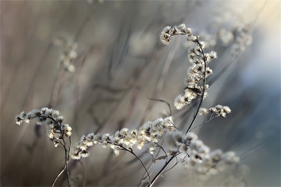 爱情感动语录伤感句子
