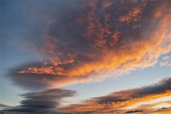 加菲猫经典语录63句