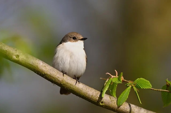看淡爱情的说说 伤感的爱情语录
