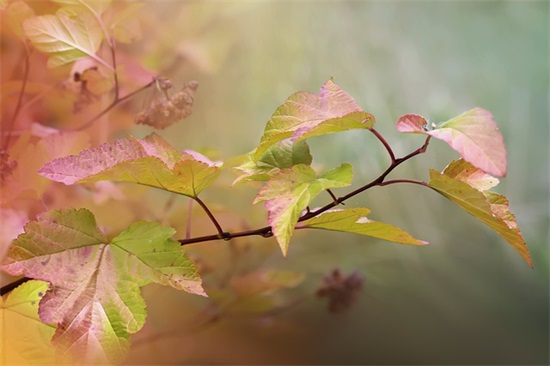 女人看透婚姻的句子 对婚姻失望的经典语录