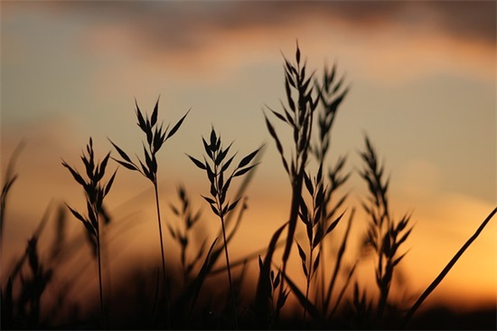 话霸气语录励志文案 考研励志霸气语录