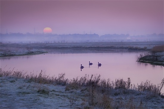 唯美爱情语录2025年83句