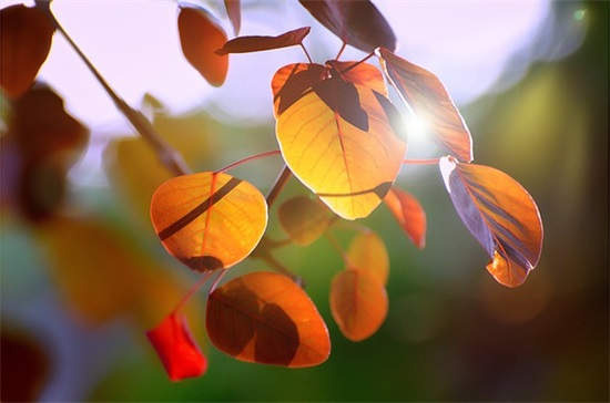 励志名言简短有力语录 励志名言简短10字