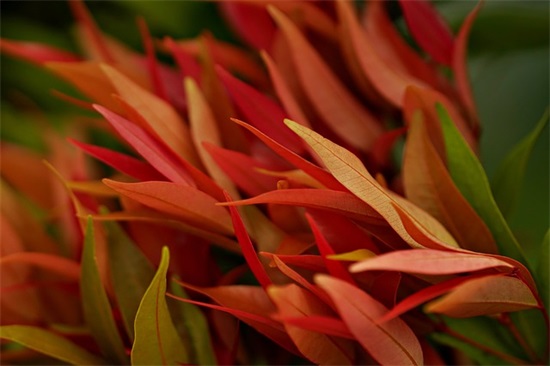 结婚女方邀请短信21句