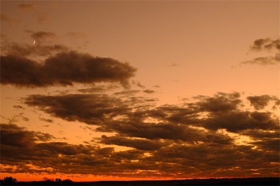 性结婚通知短信22句