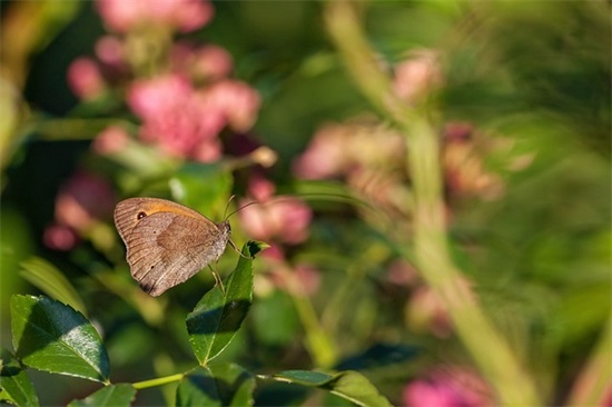 问候病人短信大全23句