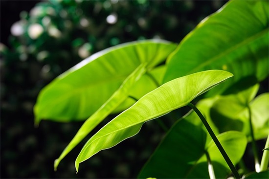 喝醉酒伤心的句子喝醉伤感语录