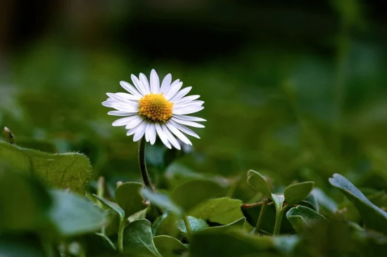 2025微商早安心语励志语录