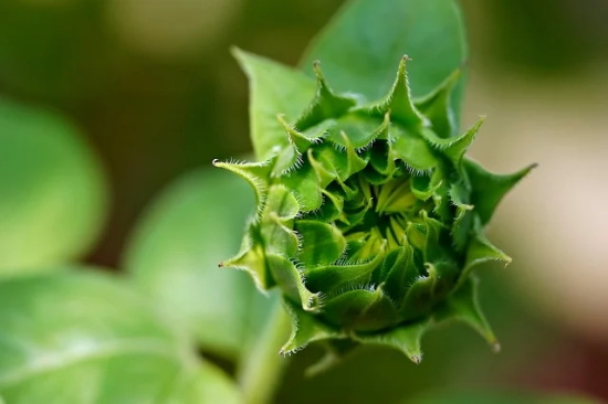 好朋友心情不好的语录68句