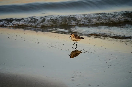 男人经典霸气语录100句