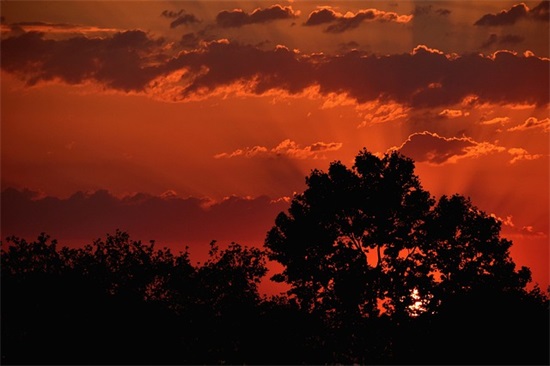 健康最重要经典语录