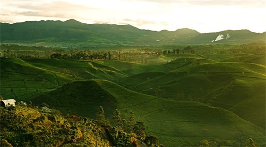 对孩子大班的希望和寄语-56句