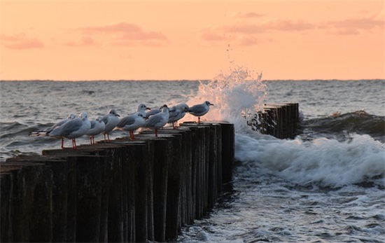 小学毕业家长简短寄语大全-60句