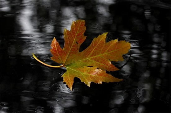 小学生班主任温馨寄语-55句