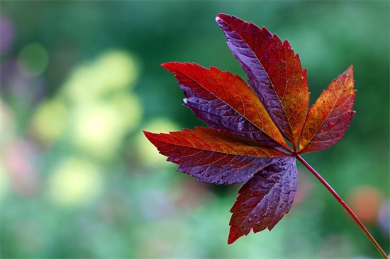 一年级读完家长寄语-59句