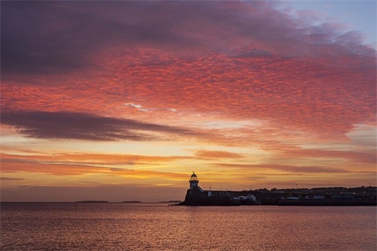 关于描写老师的作文范例6篇