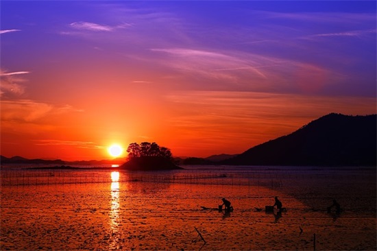 生物技术发展论文范例6篇