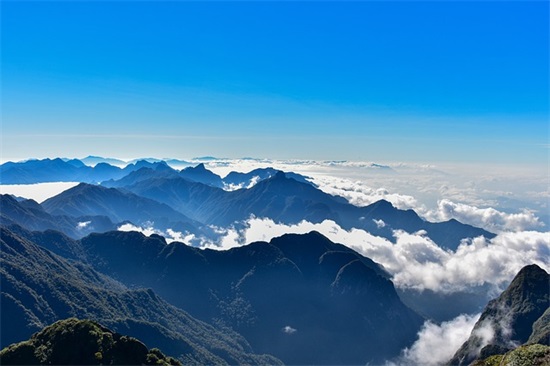 我和侄女范例6篇