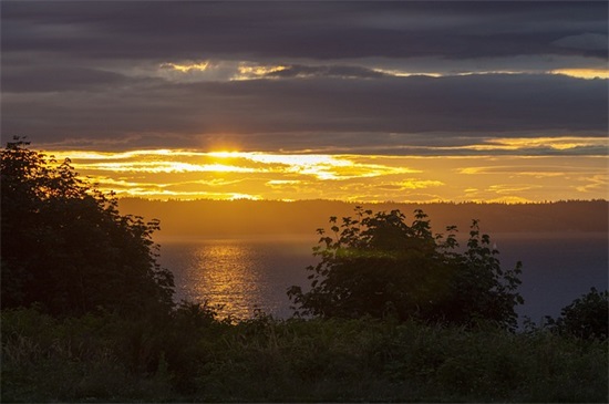 小白兔找萝卜范例6篇