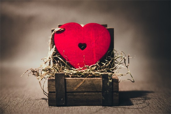 我叫红领巾范例6篇