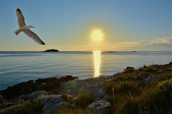 2025祝福高考顺利的句子