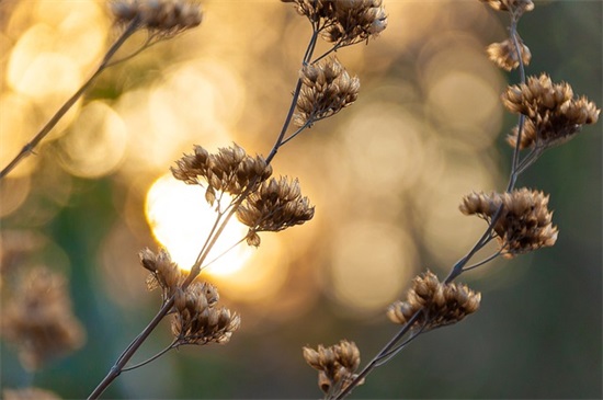 妈妈写给儿子的话75句