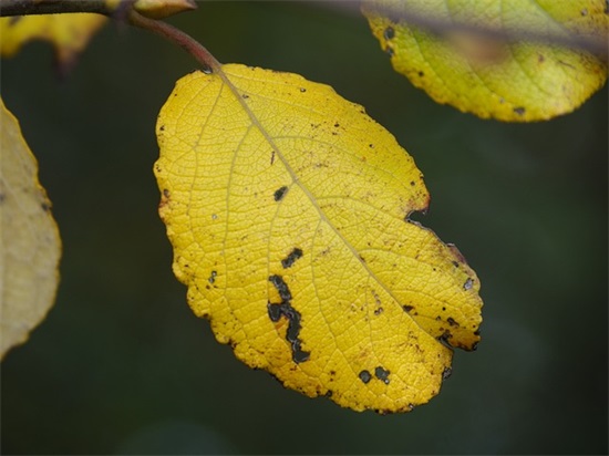 个性网微信网名情侣