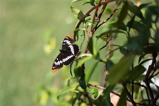 带爱的网名女生霸气高冷