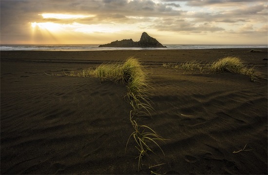 女生霸气带王字的网名